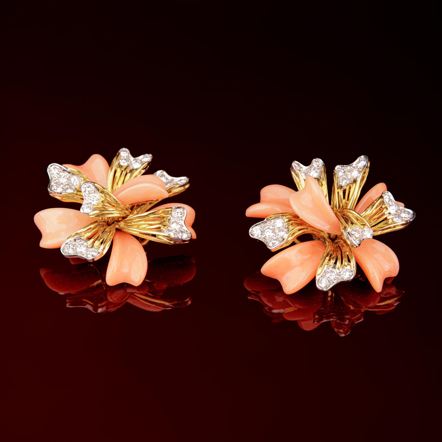 Clip d'oreilles corail
