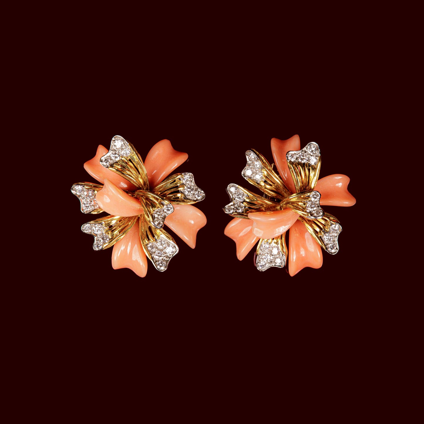 Clip d'oreilles corail