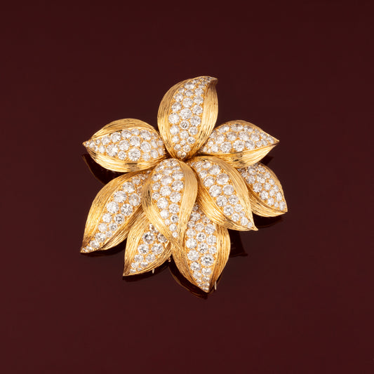 BROCHE VCA